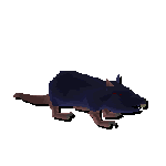 rat rat rat rat rat rat rat rat rat rat rat rat rat rat rat rat rat rat rat rat rat rat rat rat rat rat rat rat rat rat rat rat